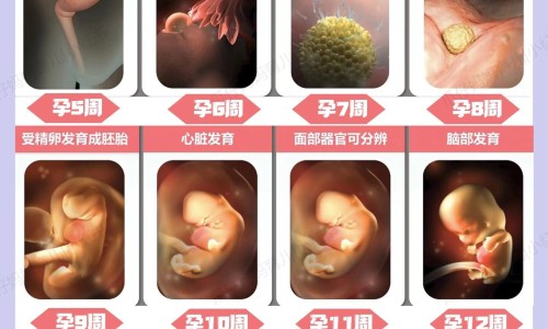 孕妇 苦瓜 胃痛网—知名的孕妇能吃苦瓜网站,分享孕妇吃苦瓜后不舒服怎么办知识