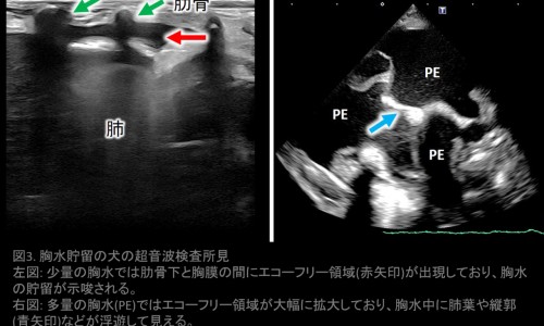 苦瓜孕妇吃了对胎儿有没有好处-孕妇 苦瓜 胃痛网—知名的孕妇能吃苦瓜网站,分享孕妇吃苦瓜后不舒服怎么办知识